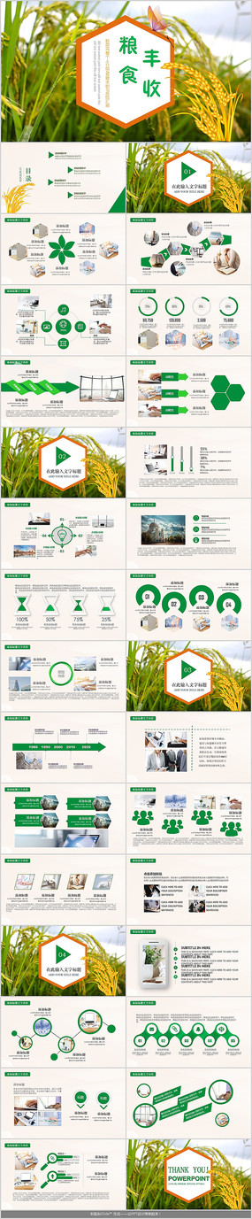 �����ʳ����PPTģ��