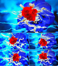 DISCO��̨������Ƶ