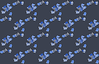 ɫɫŲͼ