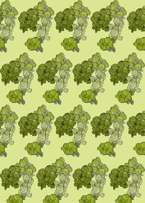 ��ɫ�������������Ų�ͼ JPG