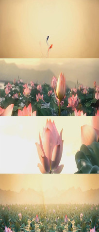 ̬йɻдʵƵ