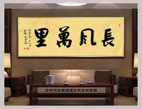 ֲ鷨Ʒ