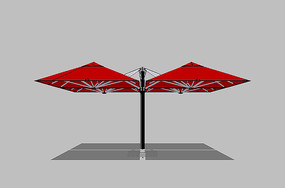 ��ɫ˫������ɡ