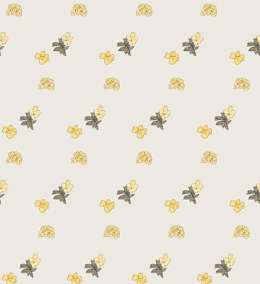 ���ɫ����ƽ�̱��� JPG