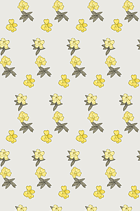 ���ɫ����ƽ�̱��� JPG