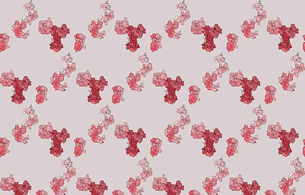 ǳ��ɫ����ƽ�̱��� JPG