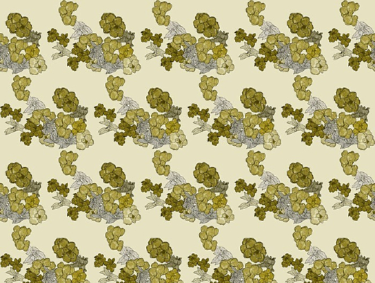 ���ɫ����ƽ�̱��� JPG