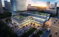 ҹ���ƹ�Ч��