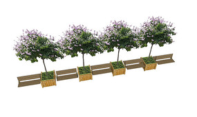 ����Ⱥ��SUģ��