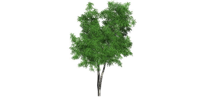 ������SUģ�� skp