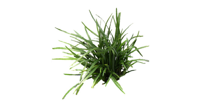 ��SUģ�� skp