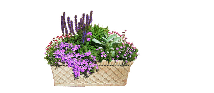 ����ֲ��SUģ�� skp