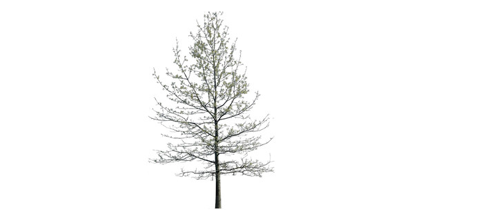 ������ҶSUģ�� skp