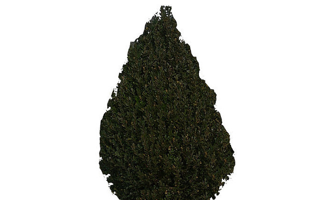 ��ɽ����SUģ�� skp