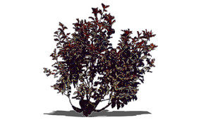 ɳӣ��SUģ��