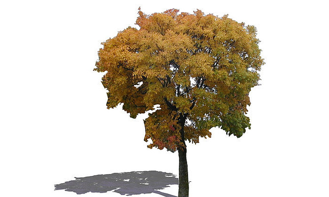 ����SUģ�� skp