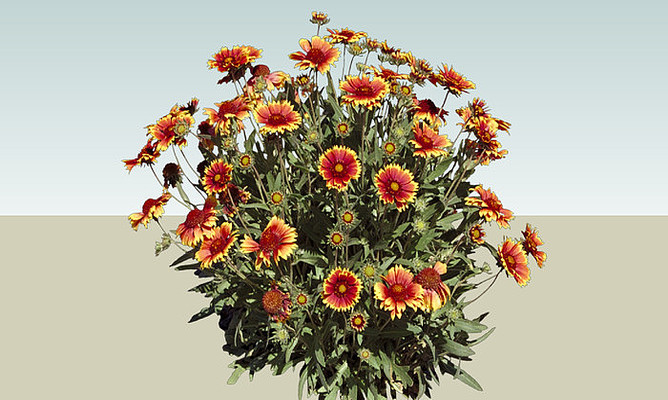 ���˾�SUģ�� skp