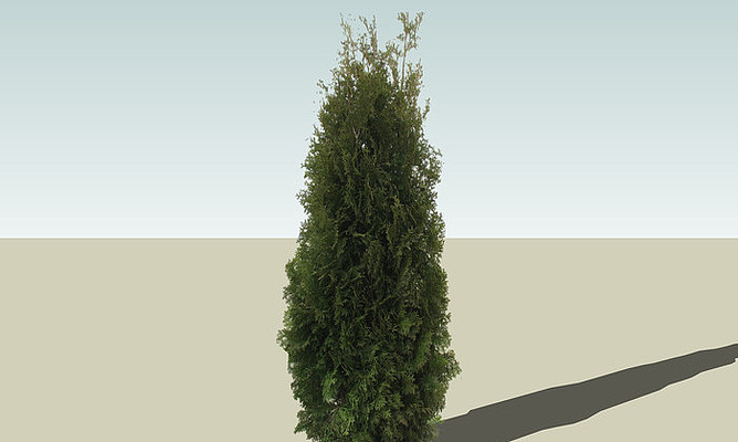 ���SUģ�� skp