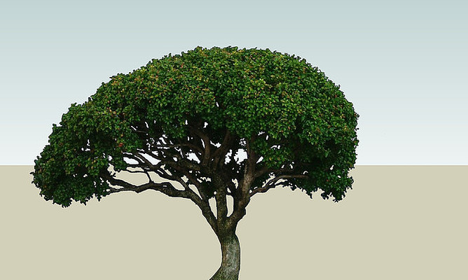 ����SUģ�� skp