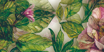bannerǽ