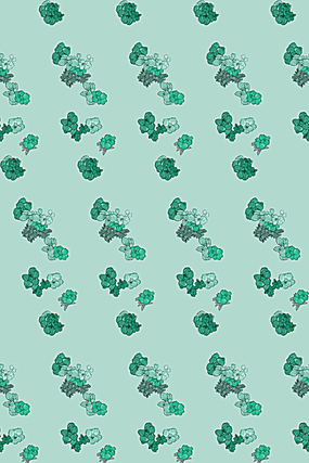 ��ɫ���� JPG