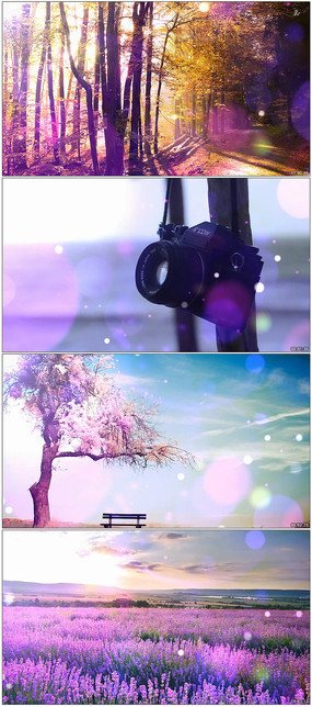 ֳ֮Ʒ