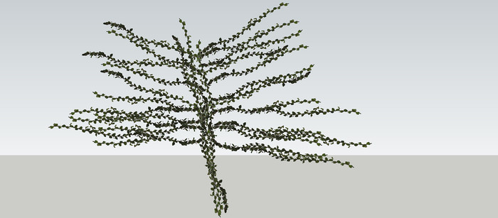 ����SUģ��