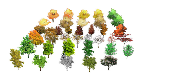 2D������SUģ�� skp