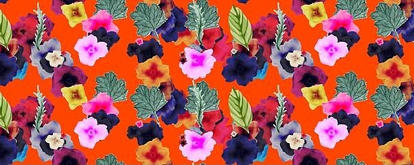 ˮ�ʺ�׻�����ҶͼƬ JPG