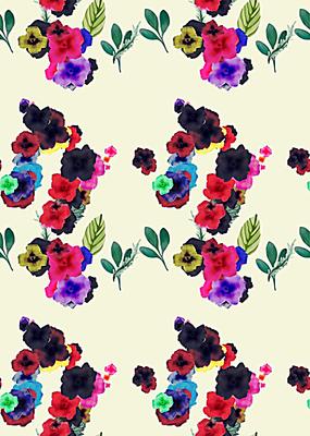 ǳɫ��������ֲ�����ͼ JPG