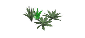 ���ֹ�ľ���SUģ��