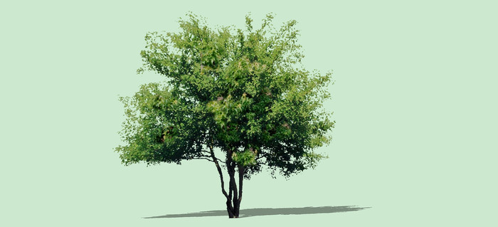 ������SUģ�� skp