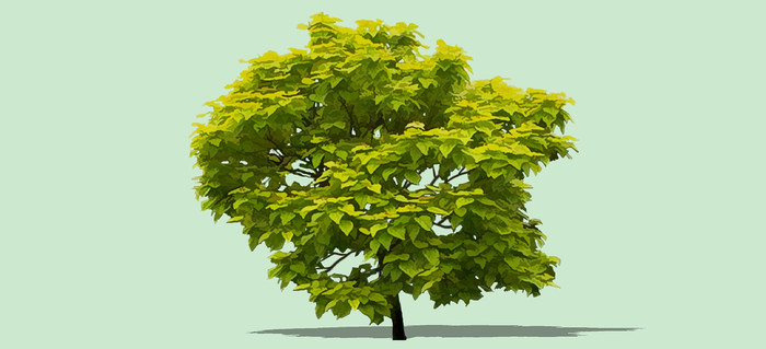 �������SUģ�� skp