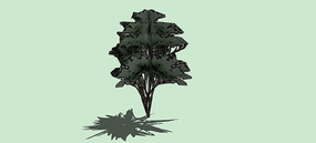 ͼ����SUģ��