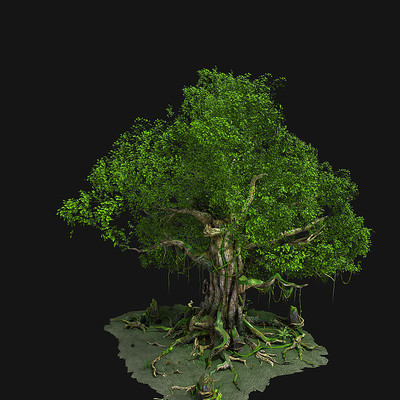 �������-����-����-���� max