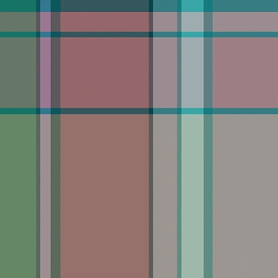 ���ϸ��ӷ�֯���� JPG