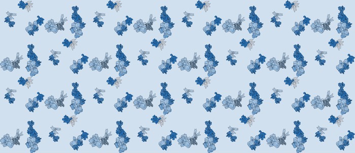 ��ɫС����