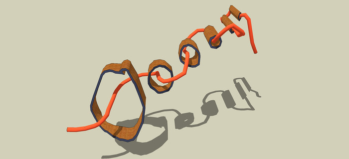 ��֯��̬����SUģ��