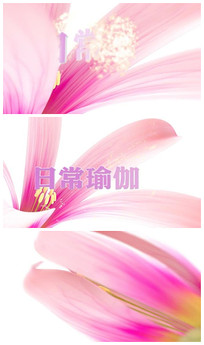 ŮԽĿƬͷչʾƵģ
