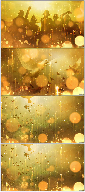 ���Ƕ���׷����������Ƶ�ز�