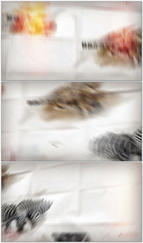 ˢͼչʾƵģ