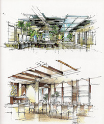 ����Ƶ�����