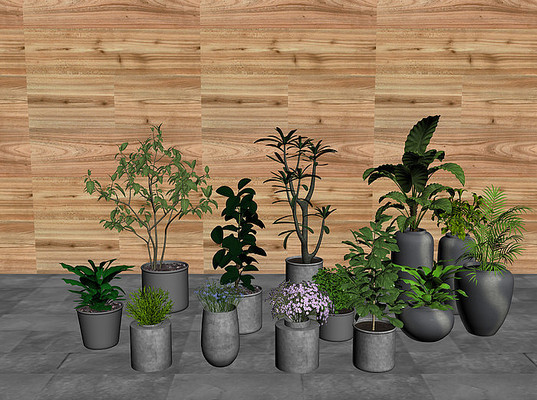 ֲ��������� max