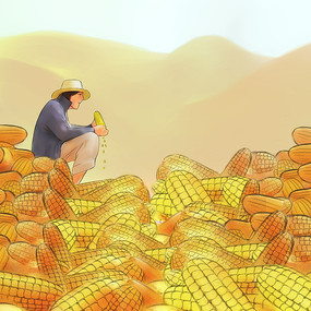 手绘朴素农民刨玉米玉米地五谷杂粮插画