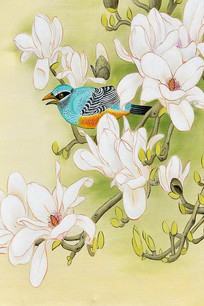 ��ͨ������