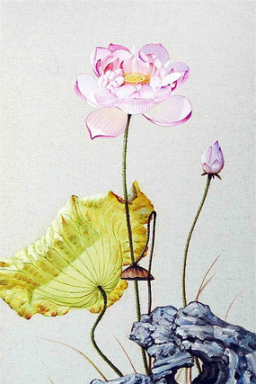 �ֻ�ɻ����ر���ǽ