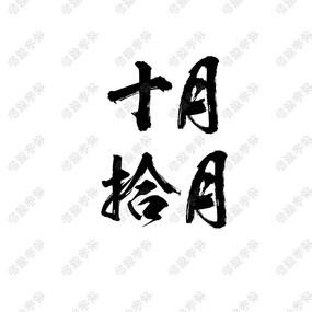ʮ鷨