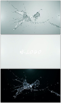 ҺˮըLOGOƬͷƬβƵģ