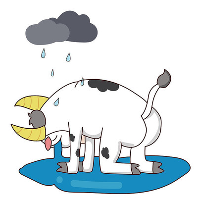 ԭ��С��ţ���������±���