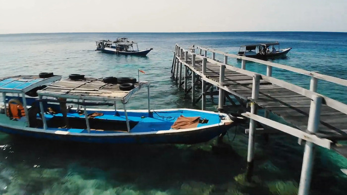 ��ֻ�ۿ���ͷƵ�ز� mp4